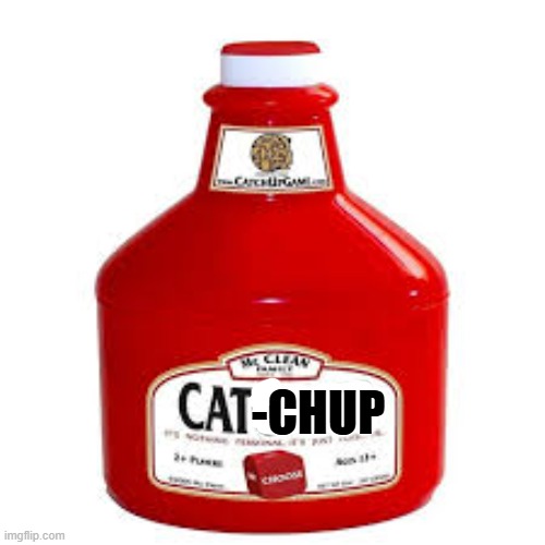 What is a cats favorite condiment?               CAT-CHUP of course. | -CHUP | image tagged in cat,kittens,funny,humor,play on words,ketchup | made w/ Imgflip meme maker