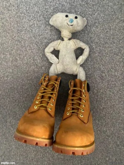 Bear with da timbs | image tagged in bear with da timbs | made w/ Imgflip meme maker