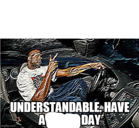 UNDERSTANDABLE, HAVE A GREAT DAY | image tagged in understandable have a great day | made w/ Imgflip meme maker