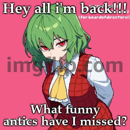 yuuka kazami | Hey all i'm back!!! What funny antics have I missed? | image tagged in yuuka kazami | made w/ Imgflip meme maker