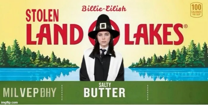 That's what the Democrats are good at stealing other peoples land. | image tagged in stolen,democrats,indians | made w/ Imgflip meme maker