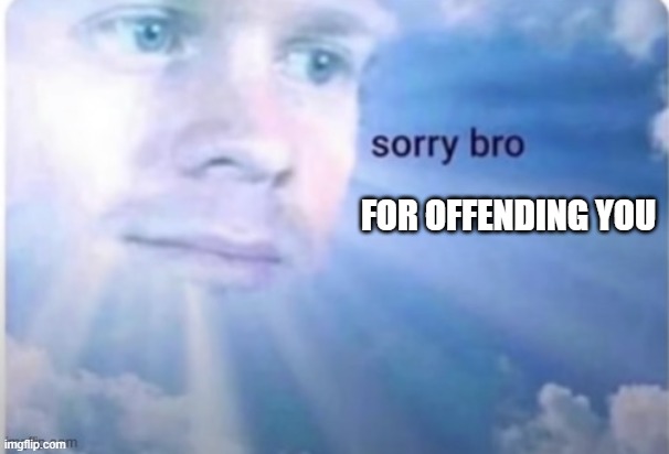 Sorry Bro | FOR OFFENDING YOU | image tagged in sorry bro | made w/ Imgflip meme maker