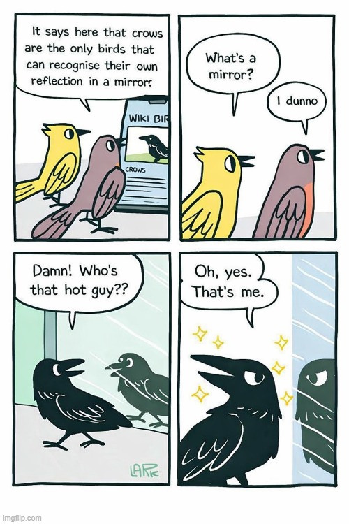 Unofficial Translation of a Lark Comic | image tagged in fun,comic | made w/ Imgflip meme maker