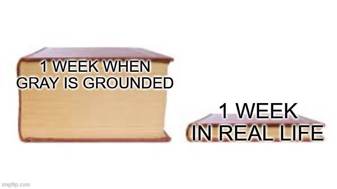 1 week when Gray is grounded vs. 1 week IRL | 1 WEEK WHEN GRAY IS GROUNDED; 1 WEEK IN REAL LIFE | image tagged in big book small book | made w/ Imgflip meme maker