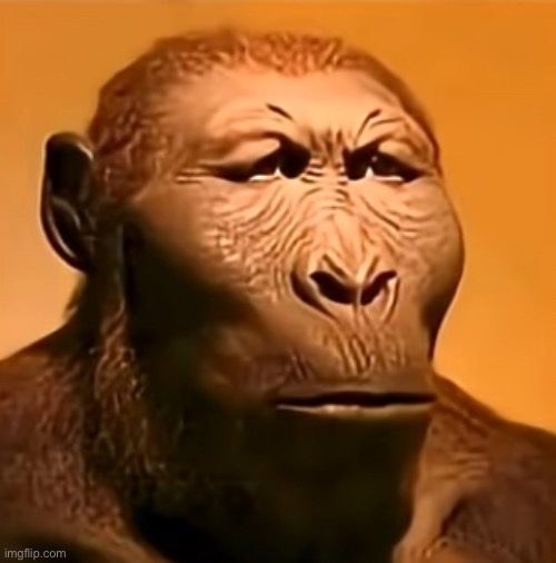 Monke confused | image tagged in monke confused | made w/ Imgflip meme maker