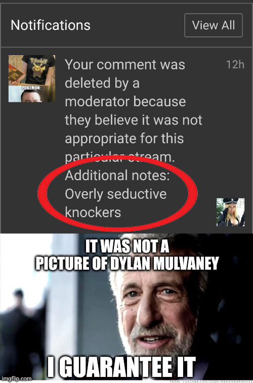 Overly seductive knockers? | IT WAS NOT A PICTURE OF DYLAN MULVANEY; I GUARANTEE IT | image tagged in memes,i guarantee it,dylan | made w/ Imgflip meme maker