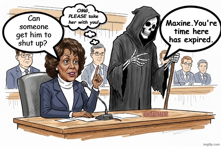 Maxine Waters | Can someone get him to shut up? OMG, PLEASE take her with you! Maxine.You're time here has expired. MajMEMES | image tagged in grim reaper knocking door,term limits | made w/ Imgflip meme maker