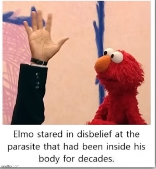 A HAND WAS INSIDE HIS ASS THE WHOLE TIME? | image tagged in elmo,hand,arm,parasite,ass,weird | made w/ Imgflip meme maker
