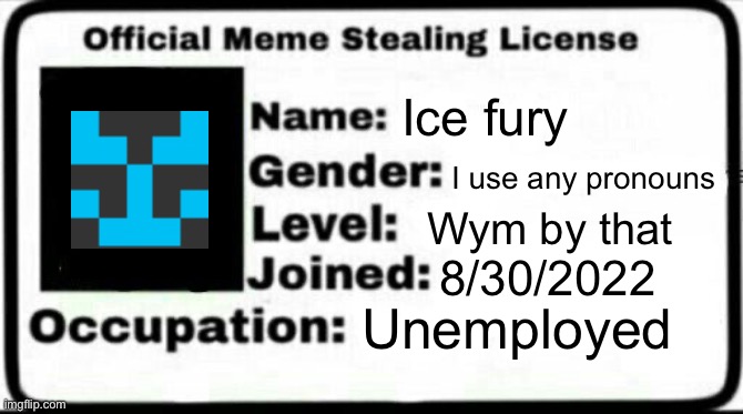 Ice fury meme stealing license Blank Meme Template