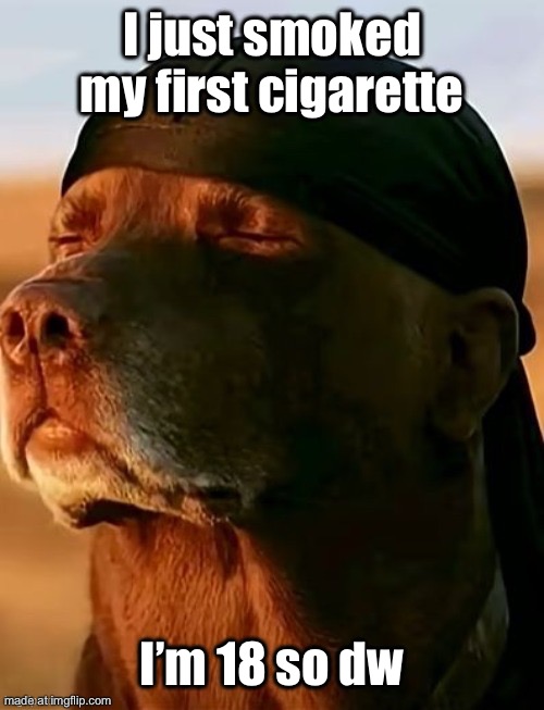I just smoked my first cigarette; I’m 18 so dw | made w/ Imgflip meme maker