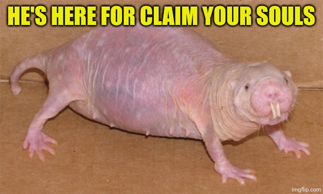 Naked mole rat | HE'S HERE FOR CLAIM YOUR SOULS | image tagged in naked mole rat | made w/ Imgflip meme maker