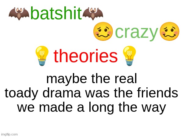 batshit crazy theories | maybe the real toady drama was the friends we made a long the way | image tagged in batshit crazy theories | made w/ Imgflip meme maker