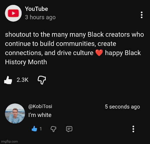 Shoutout to all my white imgflippers, white pride yesss | made w/ Imgflip meme maker