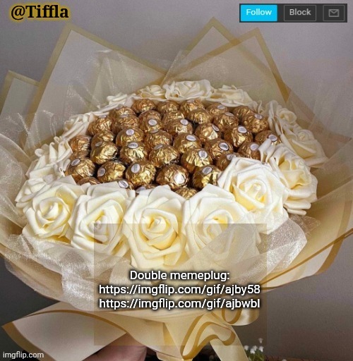 https://imgflip.com/gif/ajby58 https://imgflip.com/gif/ajbwbl | Double memeplug: https://imgflip.com/gif/ajby58 https://imgflip.com/gif/ajbwbl | image tagged in tiffla valentine's day announcement template | made w/ Imgflip meme maker
