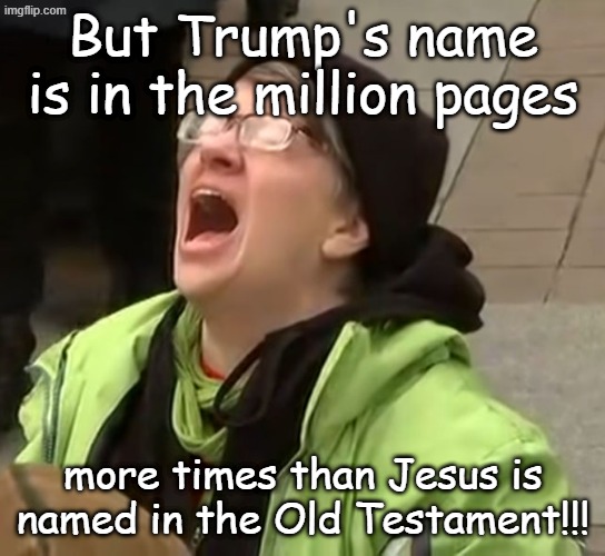 snowflake | But Trump's name is in the million pages more times than Jesus is named in the Old Testament!!! | image tagged in snowflake | made w/ Imgflip meme maker