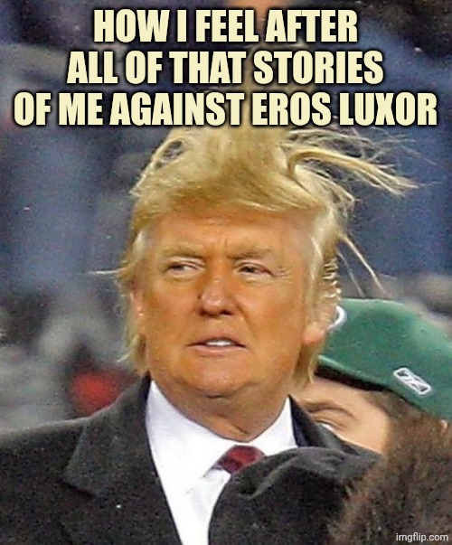 Donald Trumph hair | HOW I FEEL AFTER ALL OF THAT STORIES OF ME AGAINST EROS LUXOR | image tagged in donald trumph hair | made w/ Imgflip meme maker