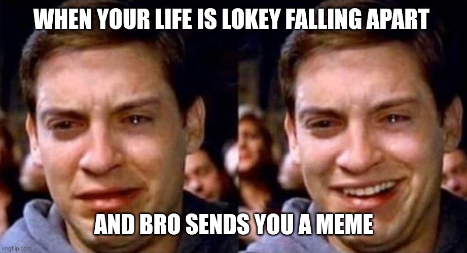 Peter Parker cry then smile | WHEN YOUR LIFE IS LOKEY FALLING APART; AND BRO SENDS YOU A MEME | image tagged in spider-man,meme | made w/ Imgflip meme maker