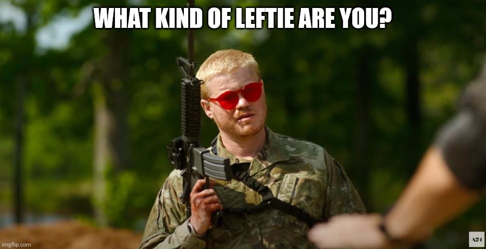 What kind of American | WHAT KIND OF LEFTIE ARE YOU? | image tagged in what kind of american | made w/ Imgflip meme maker