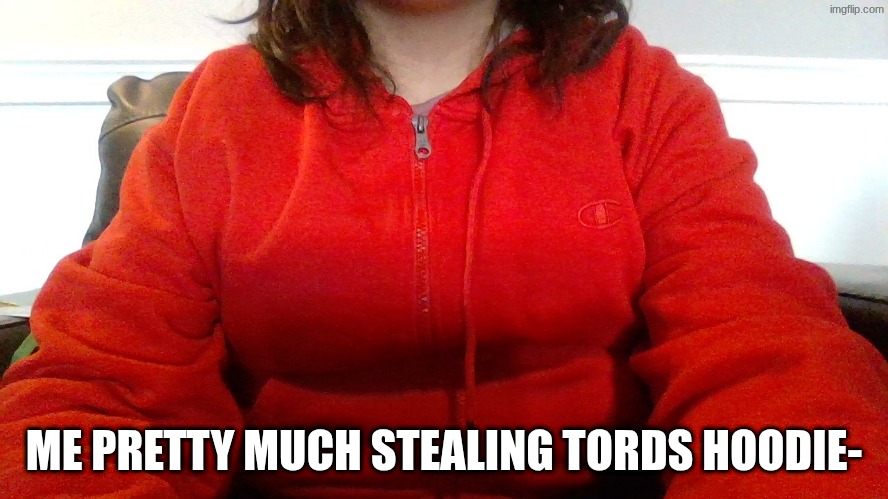 ME PRETTY MUCH STEALING TORDS HOODIE- | made w/ Imgflip meme maker