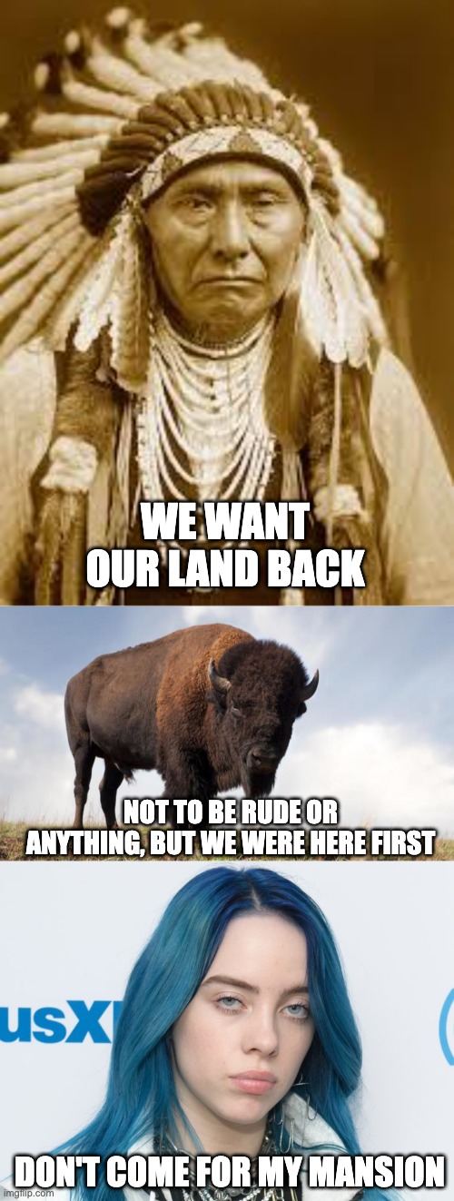 WE WANT OUR LAND BACK; NOT TO BE RUDE OR ANYTHING, BUT WE WERE HERE FIRST; DON'T COME FOR MY MANSION | image tagged in native american,buffalo,unhappy billie eilish | made w/ Imgflip meme maker