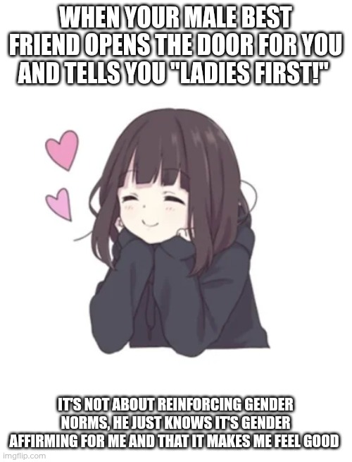 This guy is one of the best things that have ever happened to me. If you ever read this, I can't thank you enough | WHEN YOUR MALE BEST FRIEND OPENS THE DOOR FOR YOU AND TELLS YOU "LADIES FIRST!"; IT'S NOT ABOUT REINFORCING GENDER NORMS, HE JUST KNOWS IT'S GENDER AFFIRMING FOR ME AND THAT IT MAKES ME FEEL GOOD | image tagged in hoodie girl egg_irl,euphoria | made w/ Imgflip meme maker