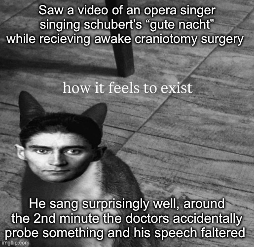 Was interesting to watch, surgery went fine also | Saw a video of an opera singer singing schubert’s “gute nacht” while recieving awake craniotomy surgery; He sang surprisingly well, around the 2nd minute the doctors accidentally probe something and his speech faltered | image tagged in ts so kafkaesque | made w/ Imgflip meme maker
