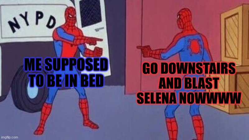 spiderman pointing at spiderman | ME SUPPOSED TO BE IN BED; GO DOWNSTAIRS AND BLAST SELENA NOWWWW | image tagged in spiderman pointing at spiderman | made w/ Imgflip meme maker