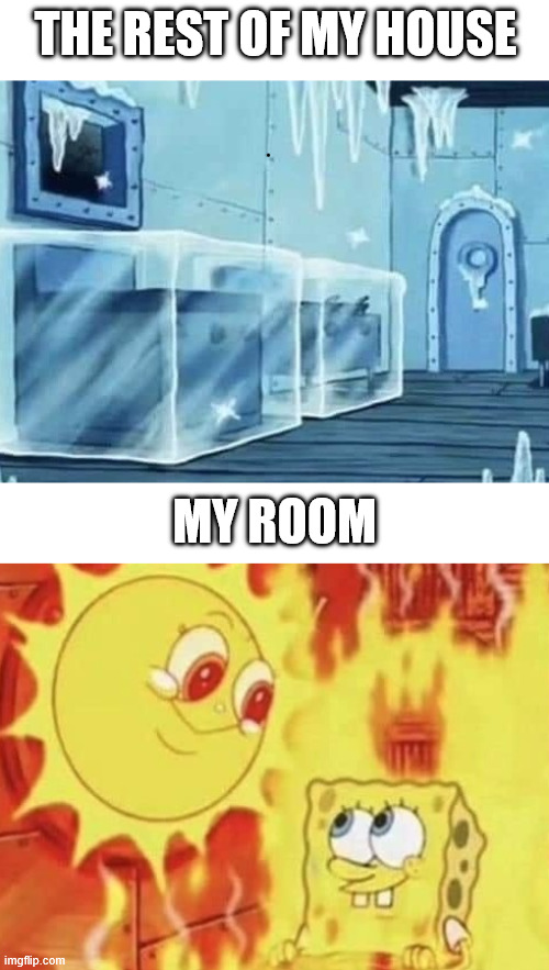True | THE REST OF MY HOUSE; MY ROOM | image tagged in meme,funny,winter,lattice climbing,jokes,latticeclimbing | made w/ Imgflip meme maker
