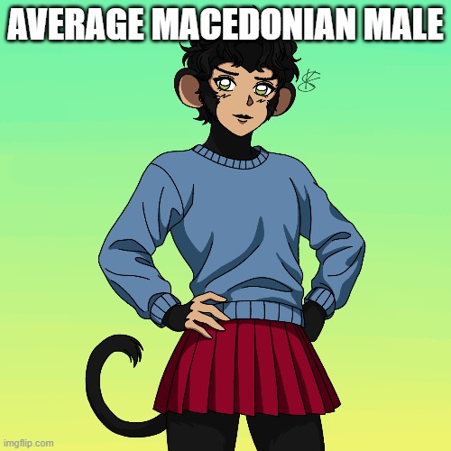 Average Macedonian | AVERAGE MACEDONIAN MALE | image tagged in macedonia,monkey,femboy | made w/ Imgflip meme maker