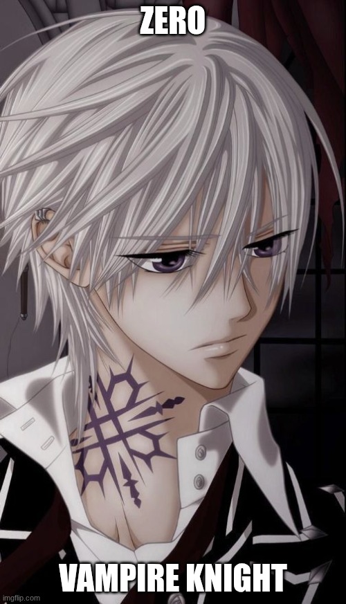 vampire knight | ZERO; VAMPIRE KNIGHT | image tagged in wolfshadow1218,photos | made w/ Imgflip meme maker