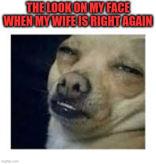 Wrong again sweeney toad | THE LOOK ON MY FACE WHEN MY WIFE IS RIGHT AGAIN | image tagged in the look,wife's right,not again | made w/ Imgflip meme maker