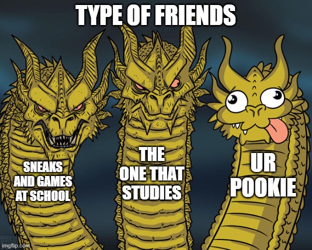 friends | TYPE OF FRIENDS; THE ONE THAT STUDIES; UR POOKIE; SNEAKS AND GAMES AT SCHOOL | image tagged in three-headed dragon | made w/ Imgflip meme maker
