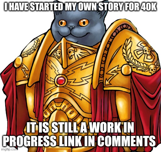 Kitten the Captain General | I HAVE STARTED MY OWN STORY FOR 40K; IT IS STILL A WORK IN PROGRESS LINK IN COMMENTS | image tagged in kitten the captain general | made w/ Imgflip meme maker
