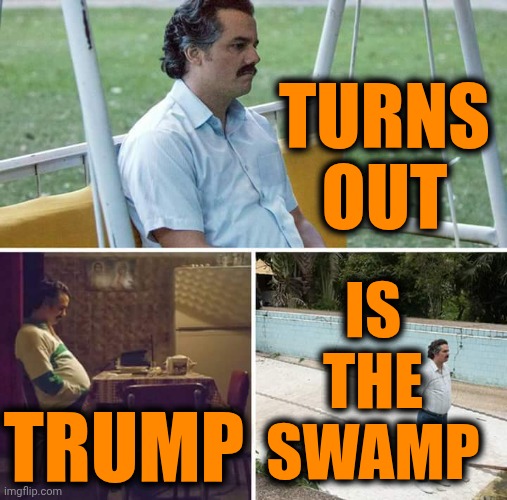 Told Ya So.  Told Ya So.  Told Ya.  Told Ya.  TOLD YA SO! | TURNS OUT; IS
THE
SWAMP; TRUMP | image tagged in memes,sad pablo escobar,lock him up,toxic masculinity,pedophile,maga | made w/ Imgflip meme maker