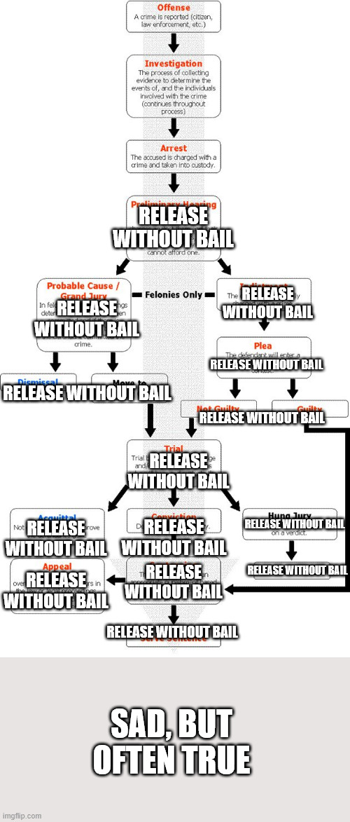 Criminal process flowchart | RELEASE WITHOUT BAIL; RELEASE WITHOUT BAIL; RELEASE WITHOUT BAIL; RELEASE WITHOUT BAIL; RELEASE WITHOUT BAIL; RELEASE WITHOUT BAIL; RELEASE WITHOUT BAIL; RELEASE WITHOUT BAIL; RELEASE WITHOUT BAIL; RELEASE WITHOUT BAIL; RELEASE WITHOUT BAIL; RELEASE WITHOUT BAIL; RELEASE WITHOUT BAIL; RELEASE WITHOUT BAIL; SAD, BUT OFTEN TRUE | image tagged in criminal process flowchart | made w/ Imgflip meme maker