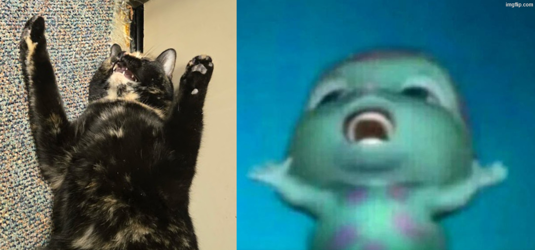 made w/ Imgflip meme maker