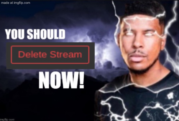 image tagged in you should delete stream now | made w/ Imgflip meme maker