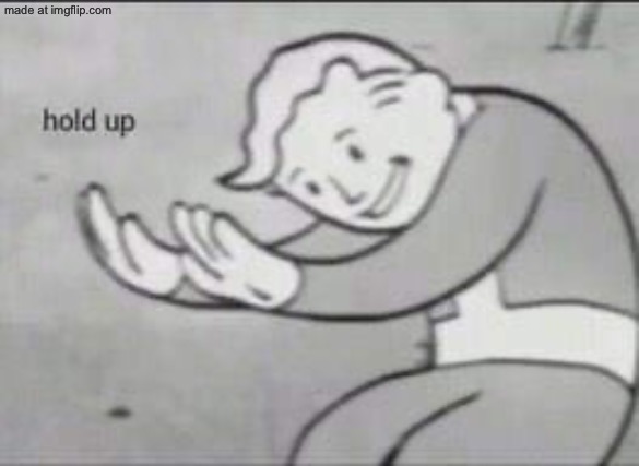Fallout Hold Up | image tagged in fallout hold up | made w/ Imgflip meme maker