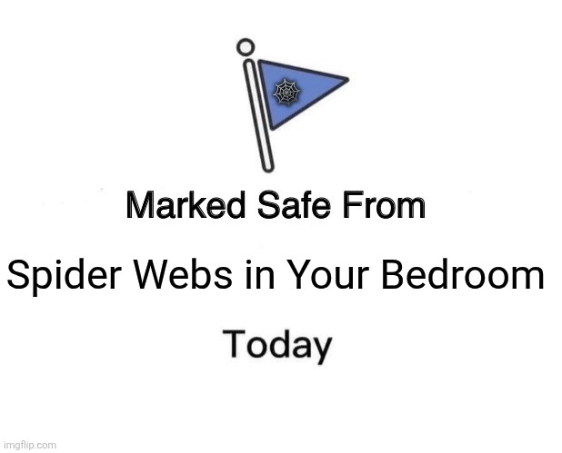 Marked Safe From Meme | 🕸; Spider Webs in Your Bedroom | image tagged in memes,spider,web | made w/ Imgflip meme maker