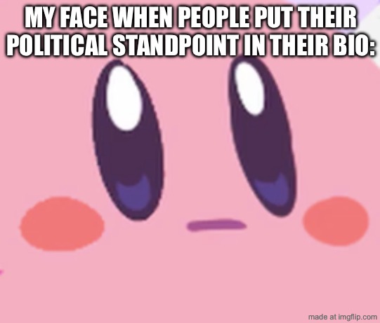 Is it really that important? | MY FACE WHEN PEOPLE PUT THEIR POLITICAL STANDPOINT IN THEIR BIO: | image tagged in blank kirby face | made w/ Imgflip meme maker