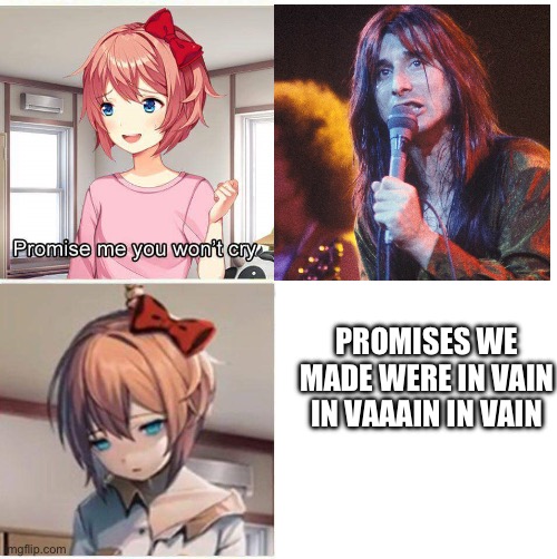 Promise you won't cry | PROMISES WE MADE WERE IN VAIN IN VAAAIN IN VAIN | image tagged in promise you won't cry | made w/ Imgflip meme maker