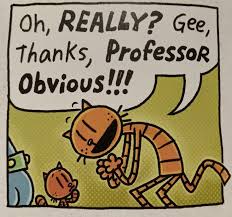 Oh Really? Gee Thanks profressor Obvious Blank Meme Template