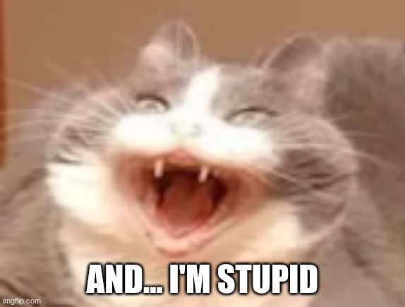 cat | AND... I'M STUPID | image tagged in cat | made w/ Imgflip meme maker