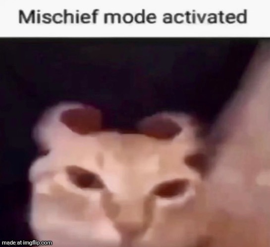 Mischief mode activated | image tagged in mischief mode activated | made w/ Imgflip meme maker