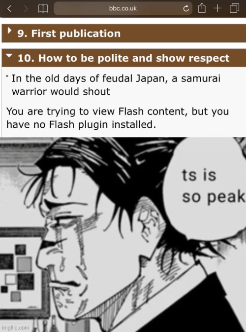 image tagged in ts is so peak | made w/ Imgflip meme maker