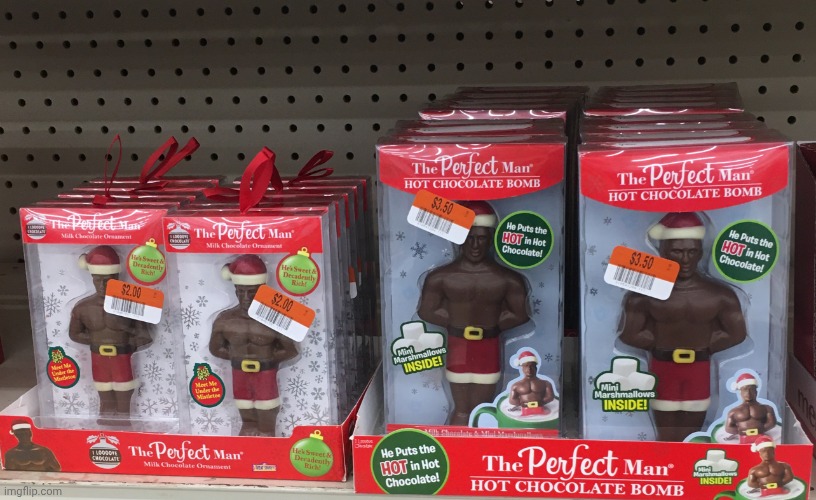 The Perfect Man | image tagged in the perfect man | made w/ Imgflip meme maker