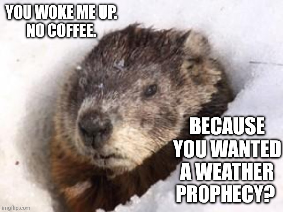 Humans are so sus | YOU WOKE ME UP. 
NO COFFEE. BECAUSE YOU WANTED A WEATHER PROPHECY? | image tagged in groundhog in snow,memes,groundhog day,rodent oracle,winter is coming,rude | made w/ Imgflip meme maker