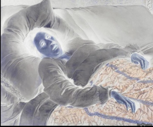 Young woman on her deathbed | image tagged in young woman on her deathbed | made w/ Imgflip meme maker