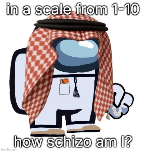 ArabMogus (thanks eshaheer) | in a scale from 1-10; how schizo am I? | image tagged in arabmogus thanks eshaheer | made w/ Imgflip meme maker
