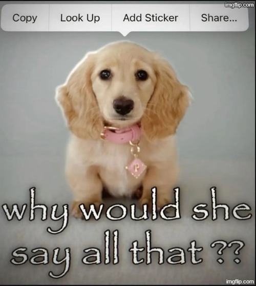 made w/ Imgflip meme maker